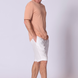 Relaxed Fit Supima Cotton Pocket T-Shirt in Terracota