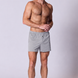 Cotton Jersey Boxer Short in Misty Grey