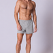 Cotton Jersey Boxer Short in Misty Grey