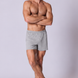 Cotton Jersey Boxer Short in Misty Grey